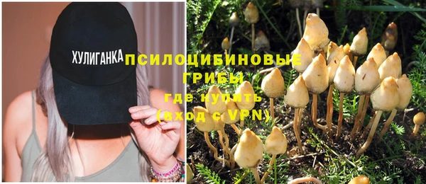 тгк Лагань