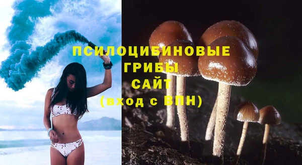 герыч Лиски