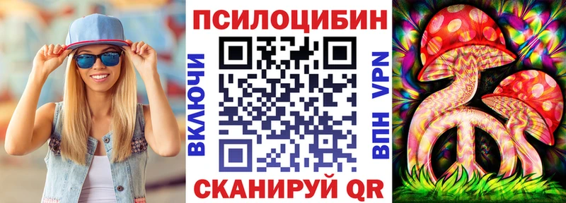 ссылка на мегу онион  магазин  наркотиков  Чебаркуль  Псилоцибиновые грибы Magic Shrooms 